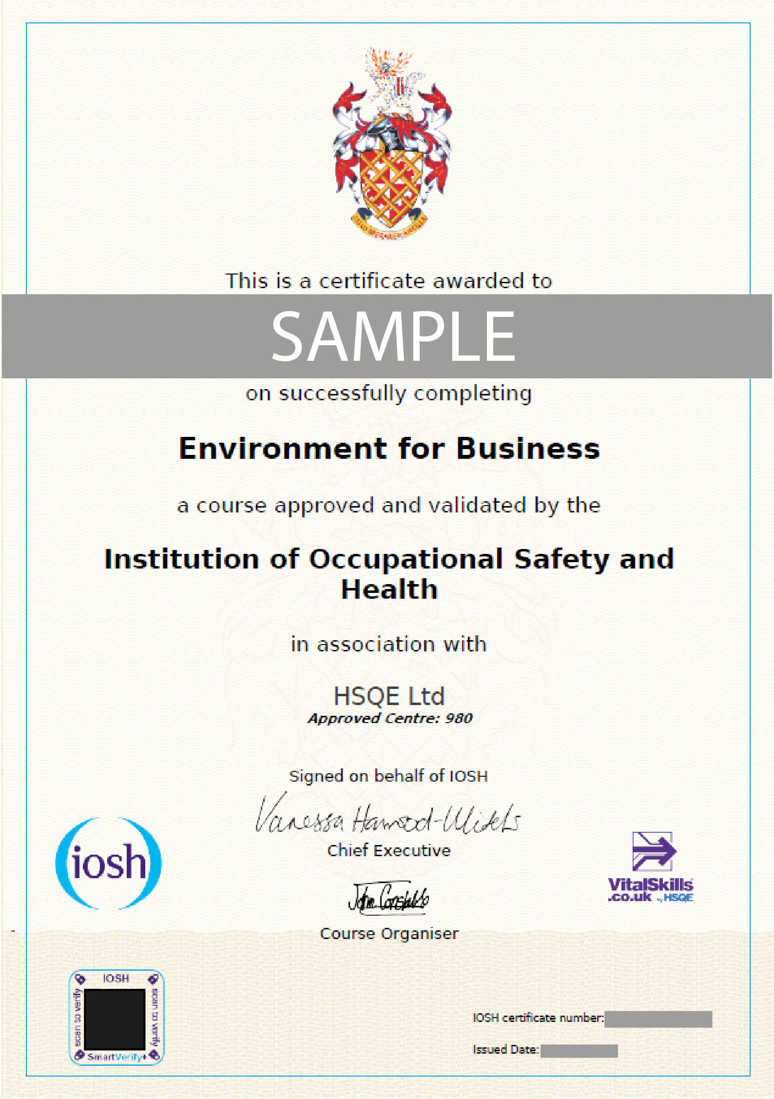 IOSH Environment for Business Certificate HSQE Vital Skills